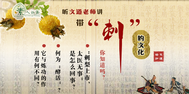中医“释”刺梨